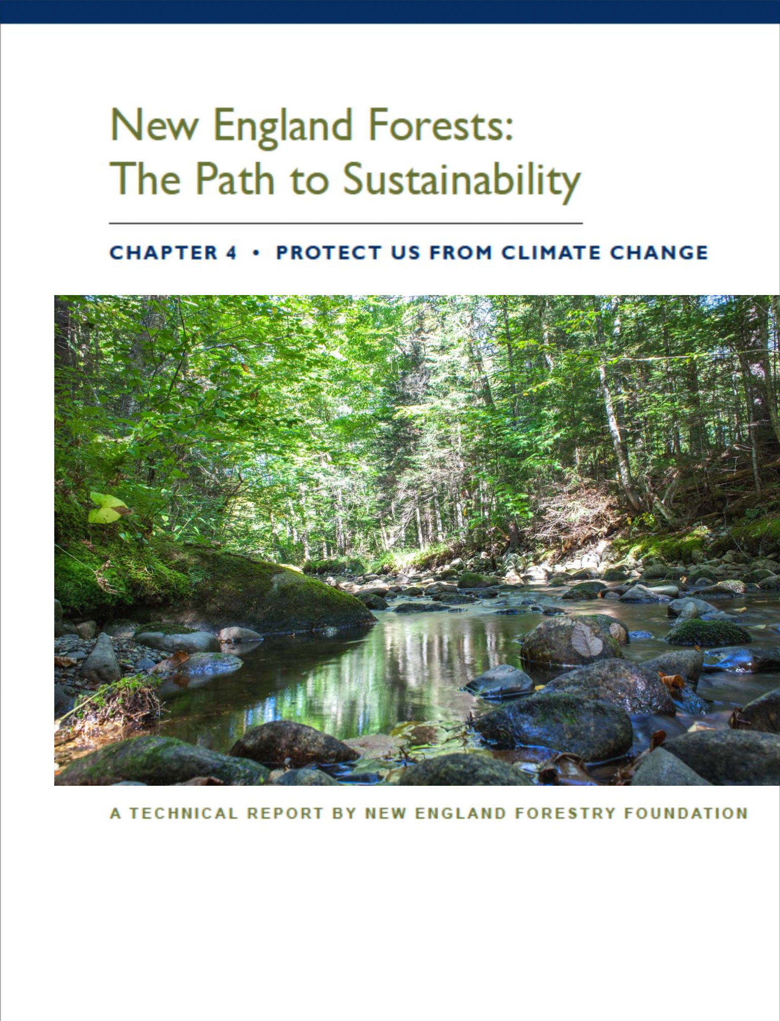 Chapter 4: Protect Us From Climate Change - New England Forestry ...