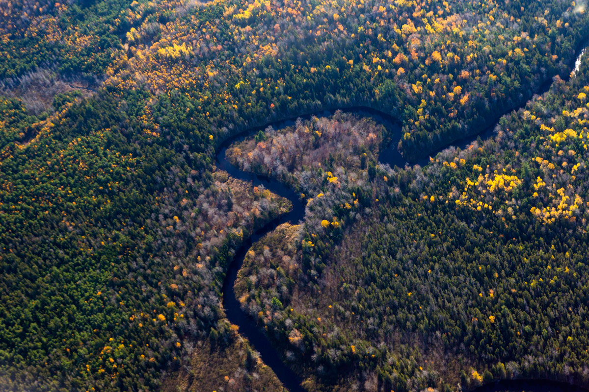 Downeast Maine forestland and river