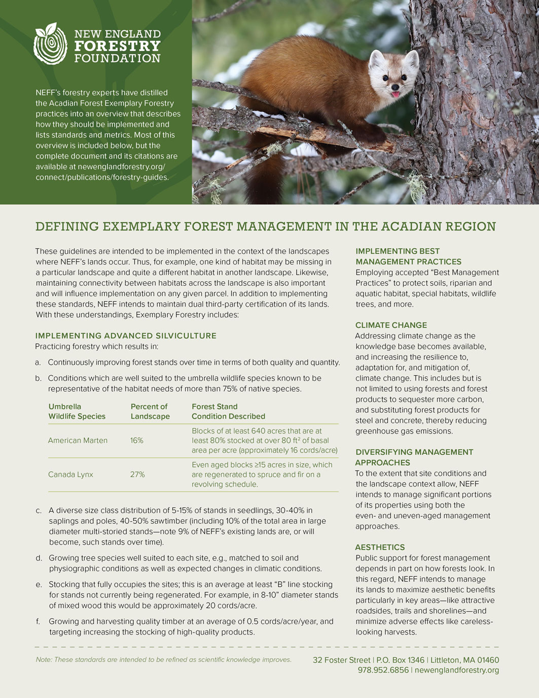 One-page handout that provides an overview of Exemplary Forestry practices