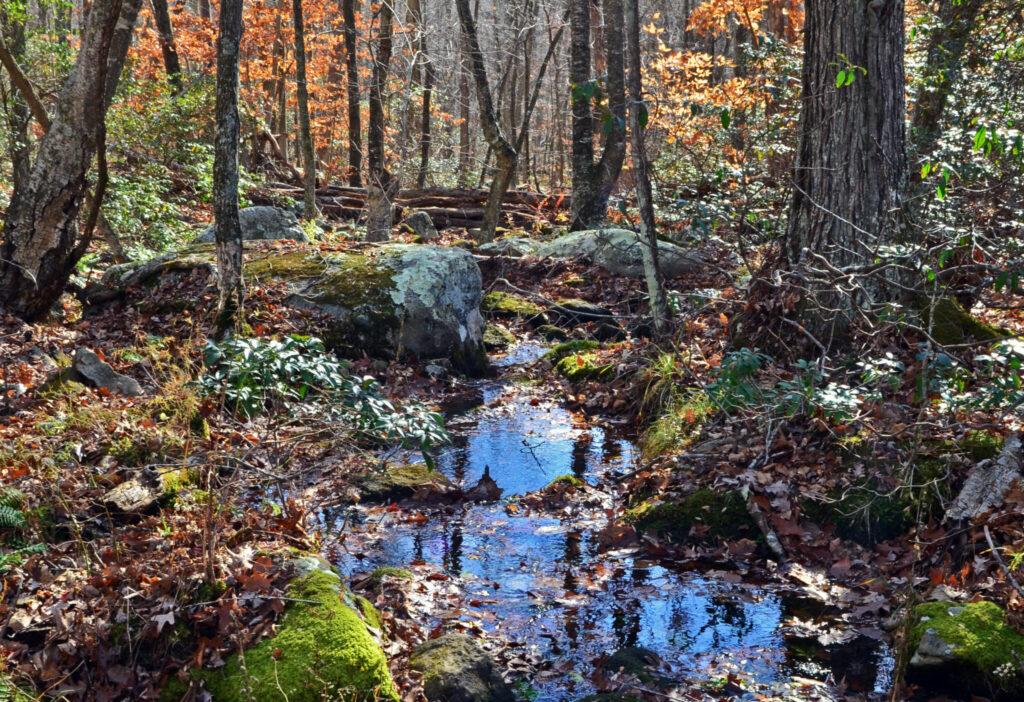 Headwaters of the Niantic River