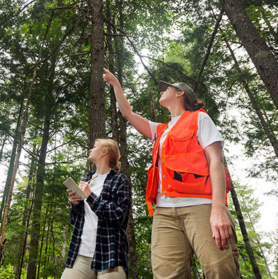 Two NEFF conservation staff members walk through a forest in Downeat Maine