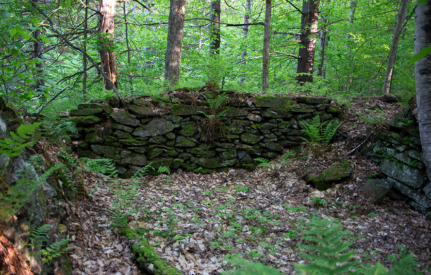 The stone foundation of a historic cabin in Hawk's Hill Demonstration Forest