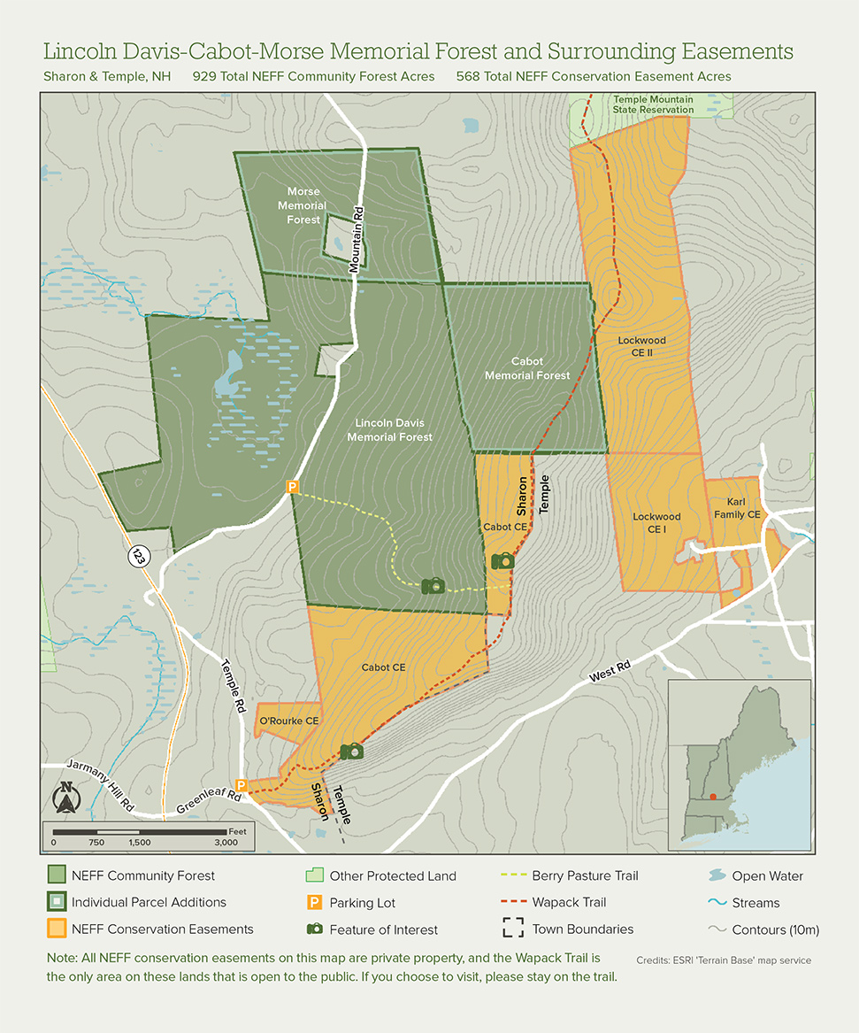 Map of Lincoln Davis Memorial Forest and surrounding easements