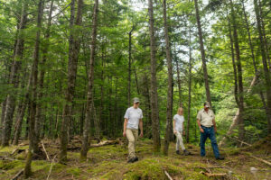 NEFF staff members walk through a Maine forestland