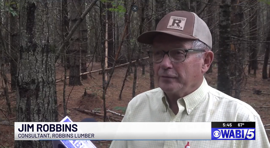 A screenshot of Jim Robbins of Robbins Lumber being interviewed by WABI TV5 in August 2024