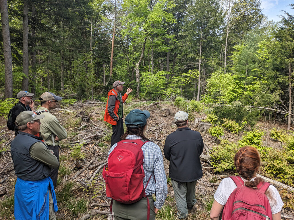 NEFCo consulting forester Peter Farrell highlights a wooded opening to an engaged group of onlookers at recently harvested Thissell-Smith Memorial Forest